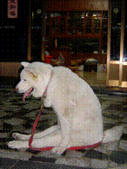 slide0009_image005.gif